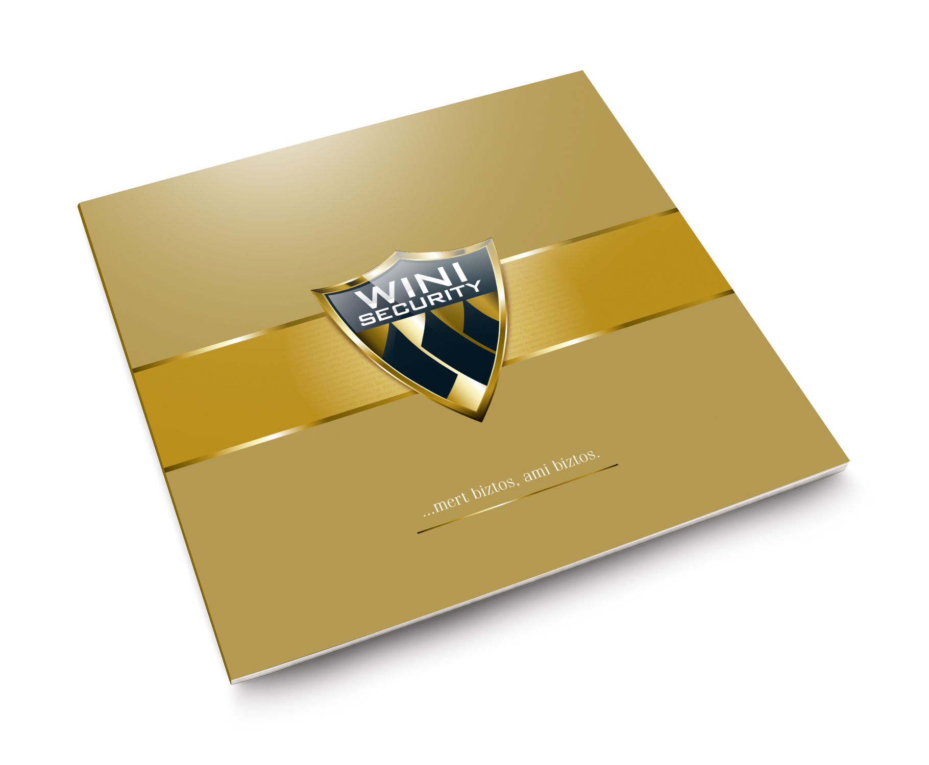 Wini Security 6