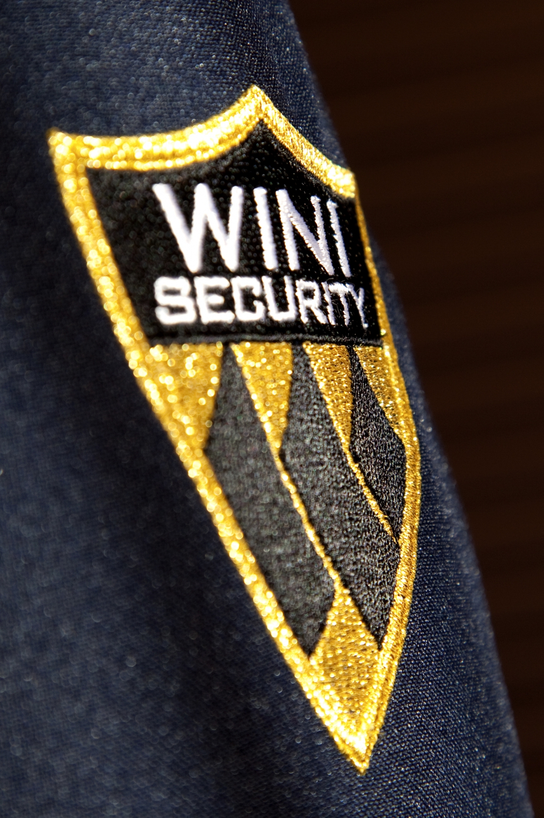 Wini Security 9