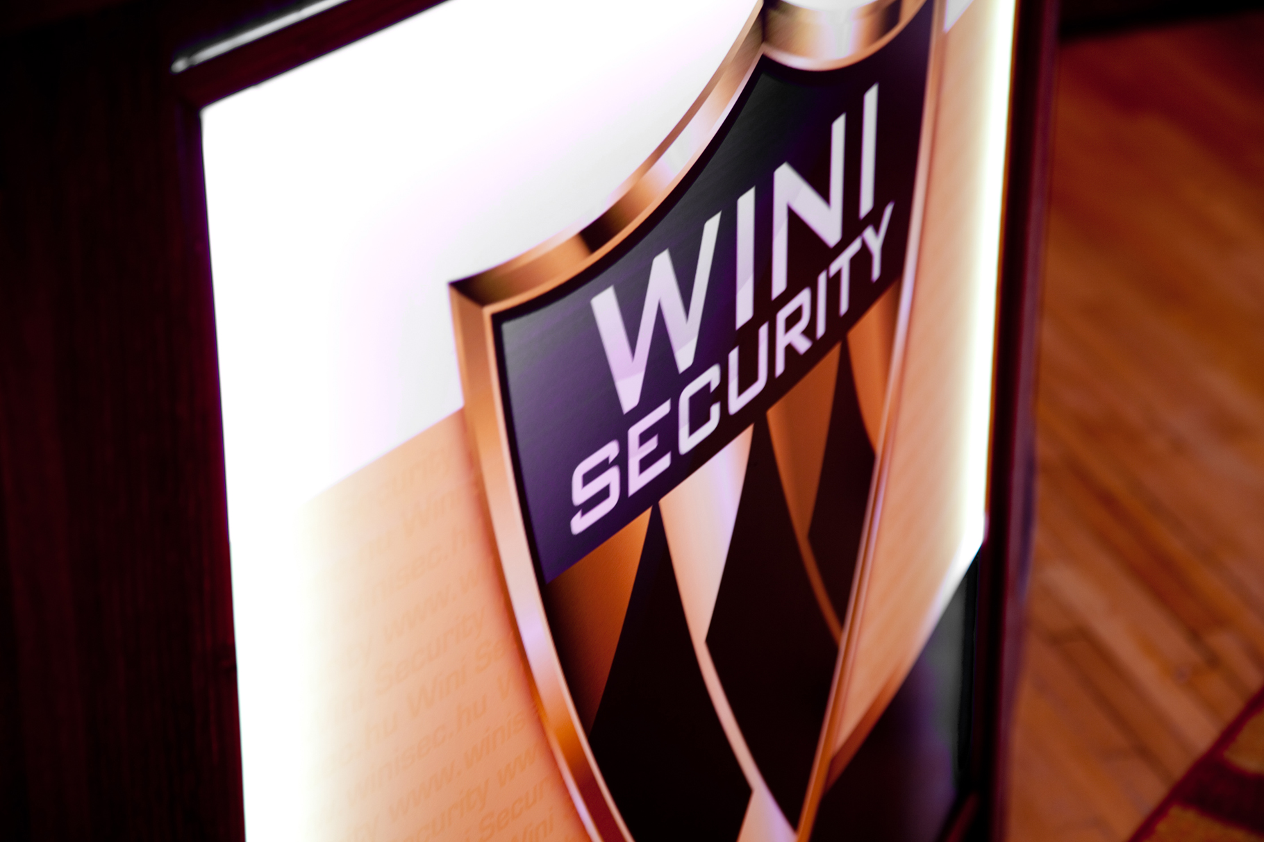 Wini Security 12